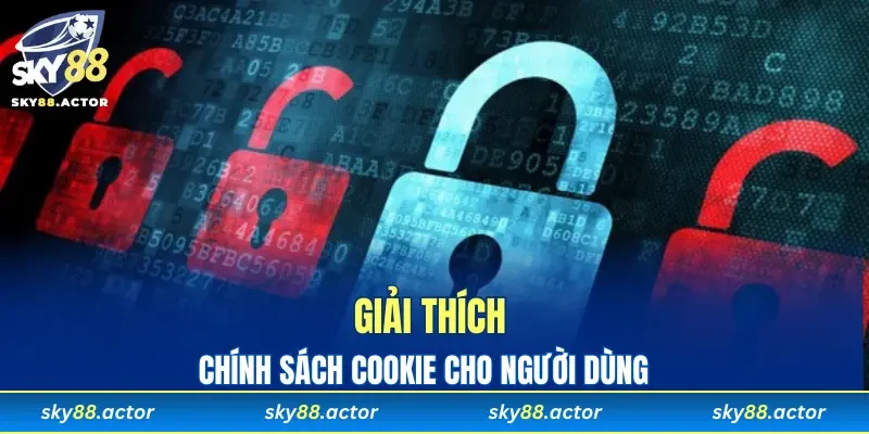 Lý giải chính sách cookie cho người dùng