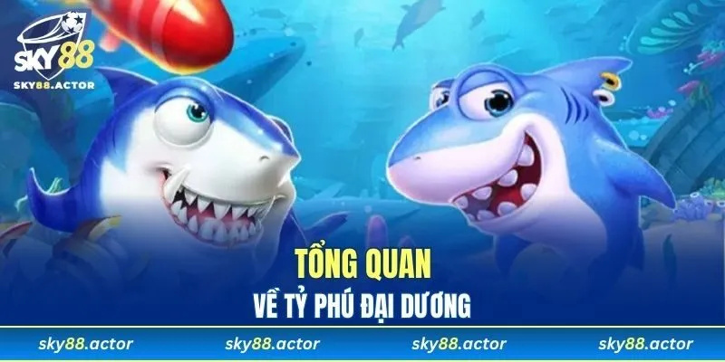 Tổng quan về tỷ phú đại dương